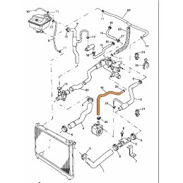 Manguito 17883-86CT0