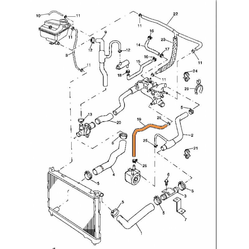 Manguito 17883-86CT0