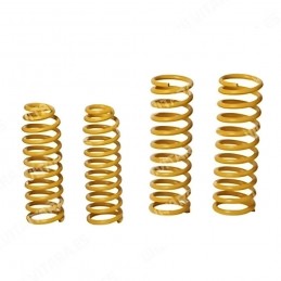 Kit +5 de Amortiguadores y Muelles